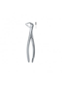 Tooth Ext Forceps